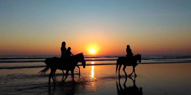 Cavaliers chevauchant sur la plage au coucher du solei