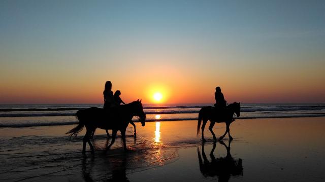 Cavaliers chevauchant sur la plage au coucher du solei