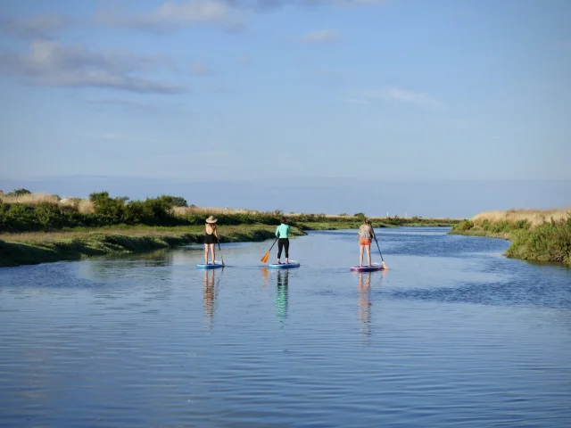 Personnes pratiquant le paddle sur une rivière sur l'île de Ré