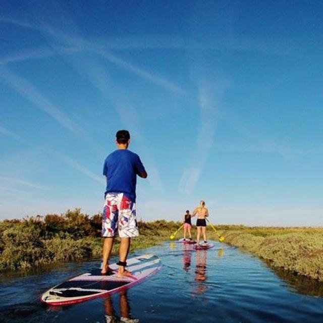 Personnes pratiquant du stand-up paddle sur un cours d'eau dans les marais.