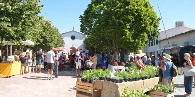 Un marché à Loix, avec des stands de produits locaux sous des arbres ombragés.