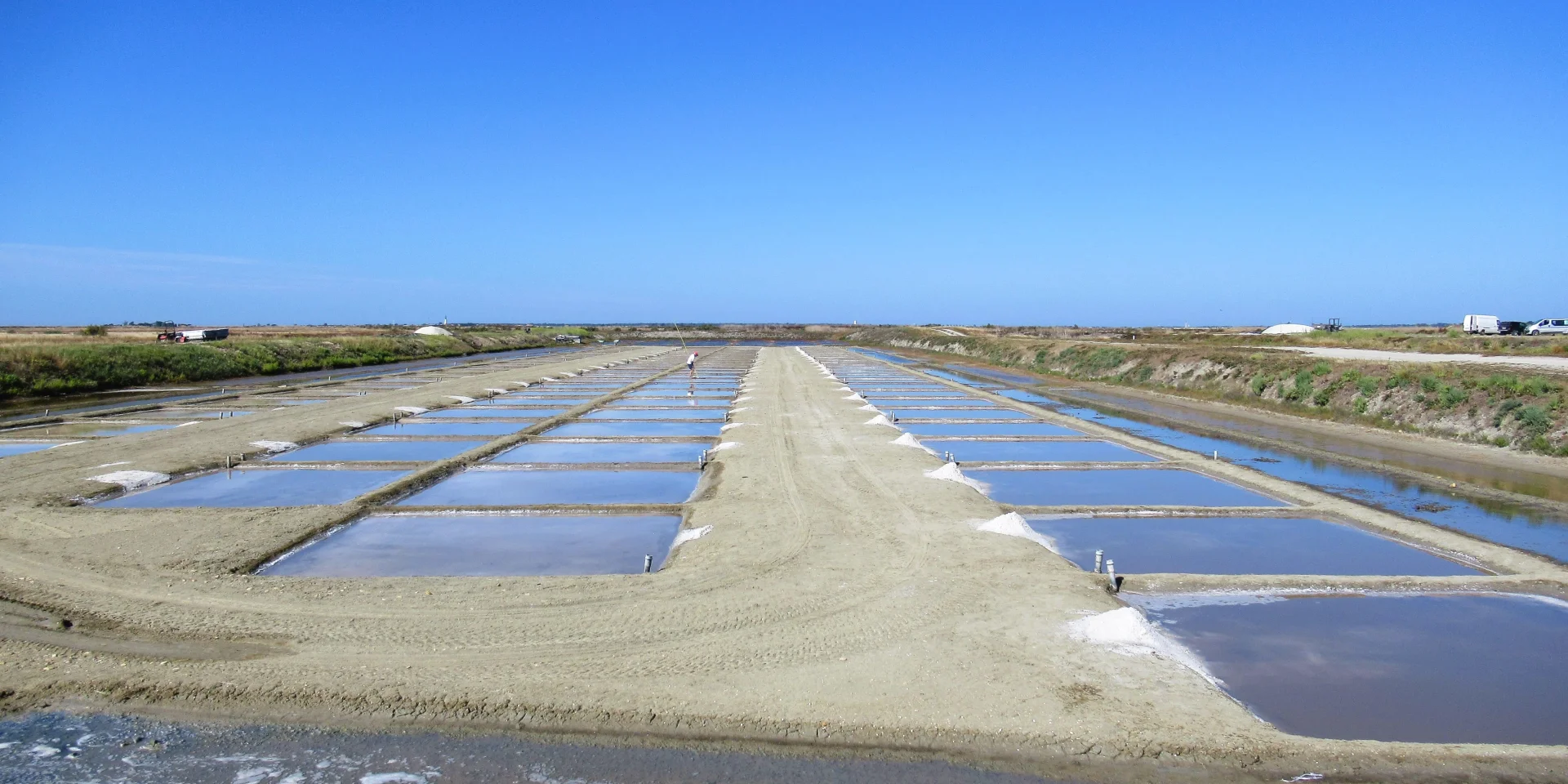 Salt marshes shops of Loix en Ré