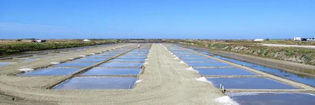 Vue panoramique des marais salants de Loix sous un ciel bleu.