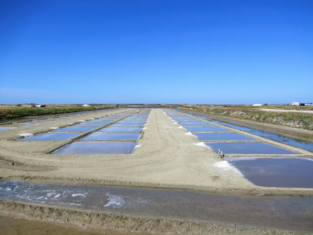 Vue panoramique des marais salants de Loix sous un ciel bleu.