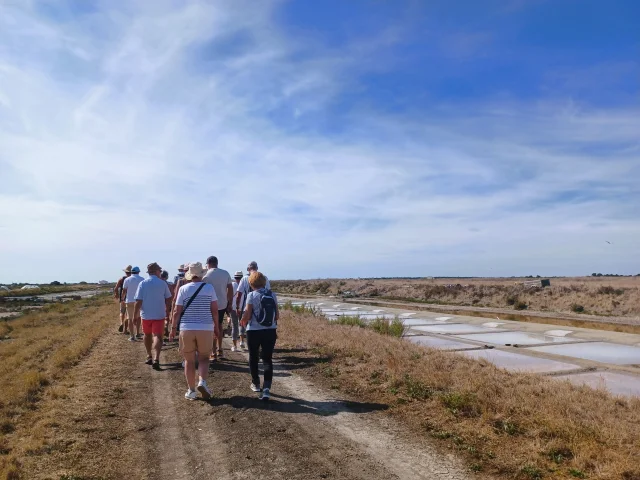 Un groupe de personnes en visite guidée dans les marais salants.