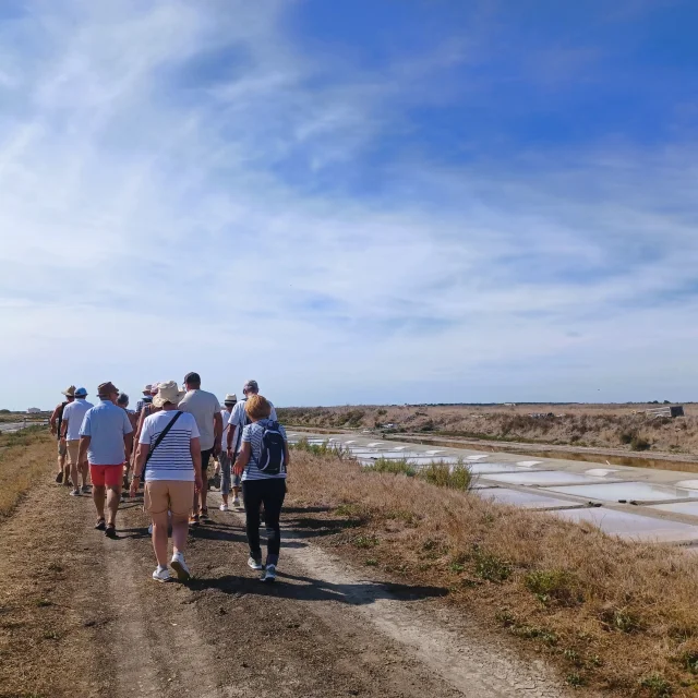 Un groupe de personnes en visite guidée dans les marais salants.