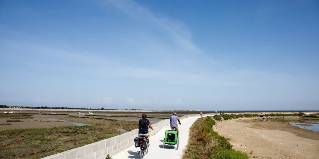 Deux cyclistes sur une piste cyclable bordant des marais à Loix.