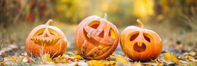 trois citrouilles d'halloween en automne