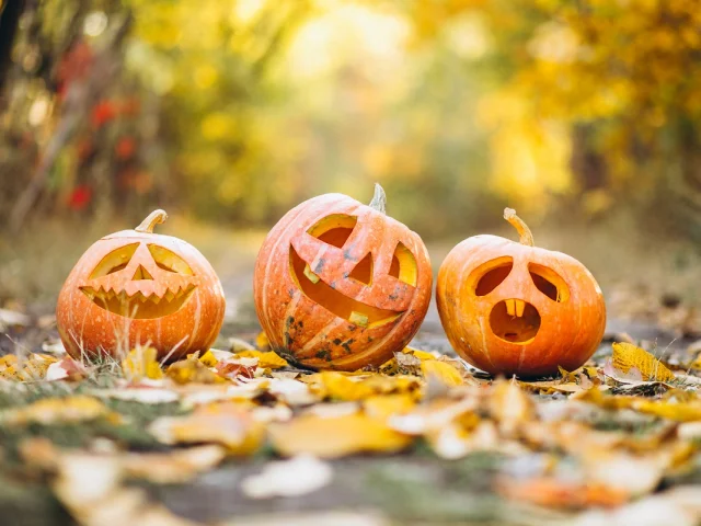 trois citrouilles d'halloween en automne