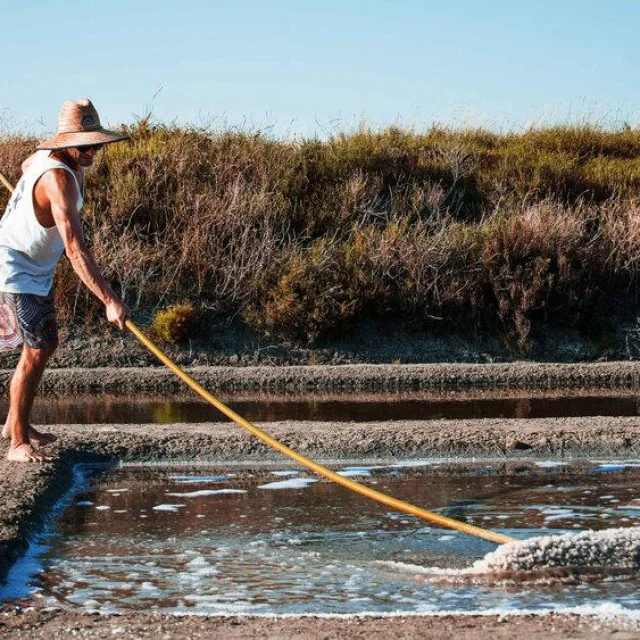 Un homme récolte du sel dans les marais salants de l'île de Ré.