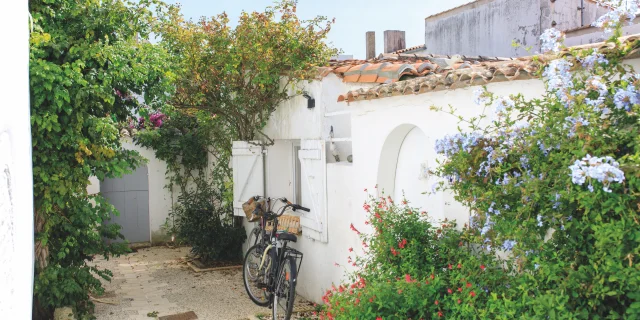 Une venelle fleurie à Ars-en-Ré avec un vélo appuyé contre un mur blanc.