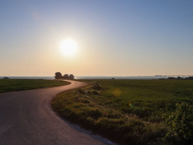 Un chemin vers l'Abbaye des Châteliers sur l'île de Ré avec un coucher de soleil en arrière-plan.