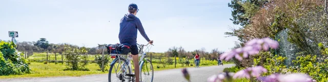 Cycliste sur une route bordée de fleurs