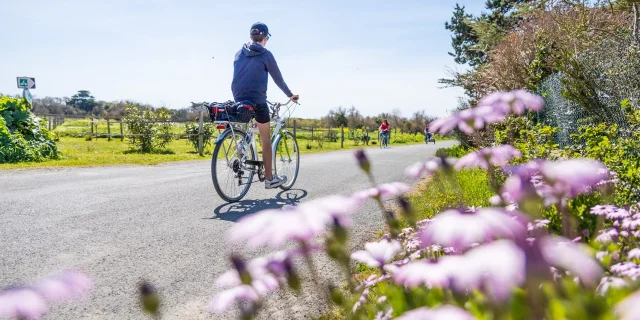 Cycliste sur une route bordée de fleurs