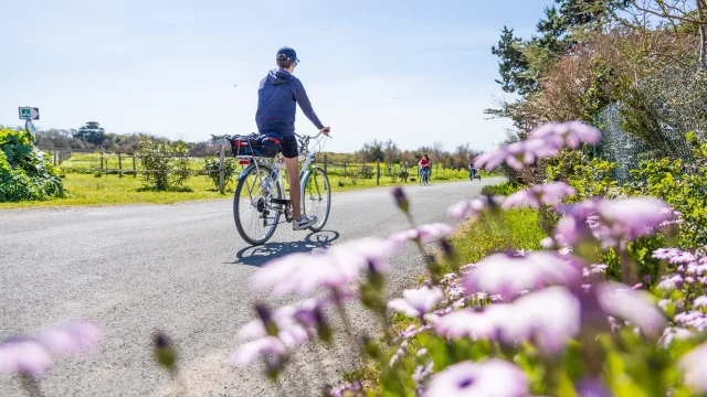 Cycliste sur une route bordée de fleurs