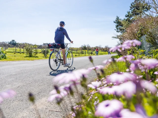 Cycliste sur une route bordée de fleurs