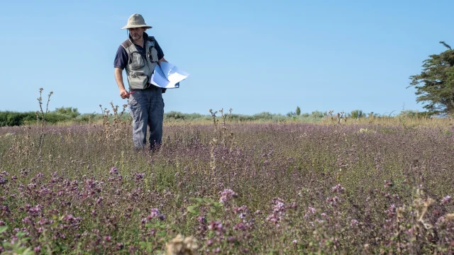 Ecogarde effectuant un inventaire sur l'île de Ré.