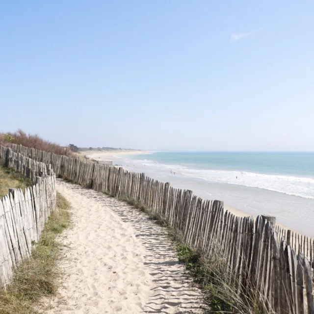 Un chemin à La Couarde menant à une plage de sable fin. Des clôtures en bois bordent le chemin, et la mer est visible à l'horizon sous un ciel clair.