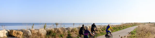 Groupe de cyclistes sur une piste cyclable côtière à La Couarde, île de Ré.