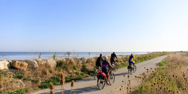 Groupe de cyclistes sur une piste cyclable côtière à La Couarde, île de Ré.