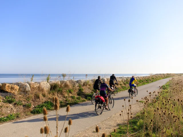 Groupe de cyclistes sur une piste cyclable côtière à La Couarde, île de Ré.