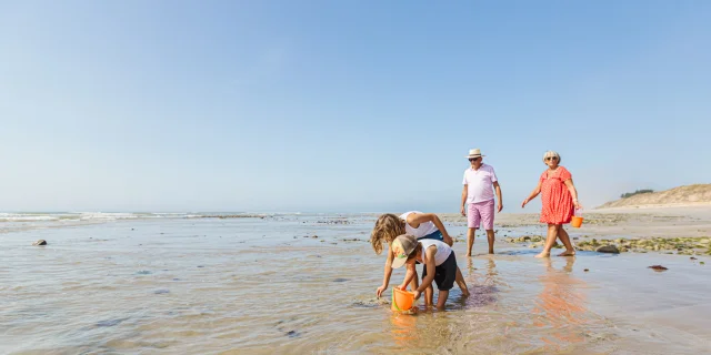 Famille pêchant à pied sur la plage à marée basse, cherchant des coquillages.