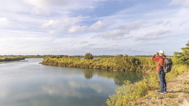 Randonneur explorant la réserve naturelle sur l'île de Ré.