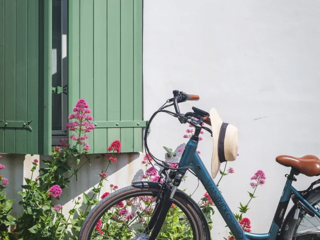 Vélo devant des roses et les volets verts d'une maison