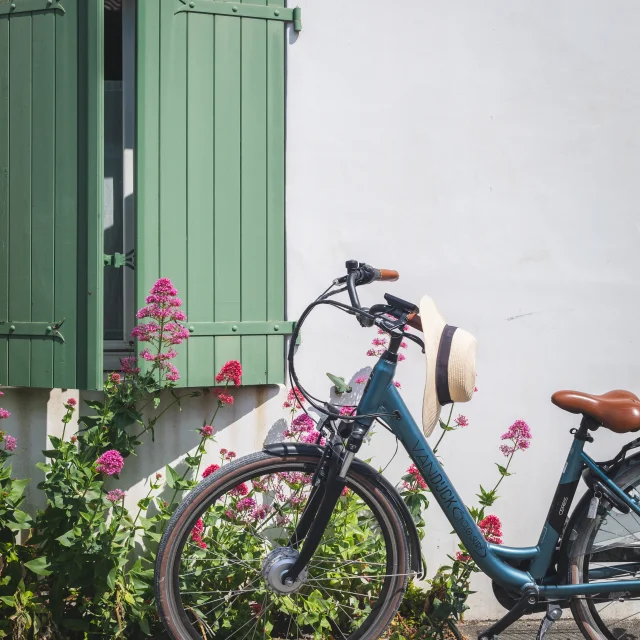 Vélo devant des roses et les volets verts d'une maison