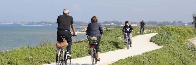 Groupe de cyclistes pédalant sur un chemin côtier de l'île de Ré