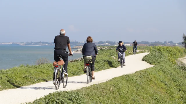 Groupe de cyclistes pédalant sur un chemin côtier de l'île de Ré