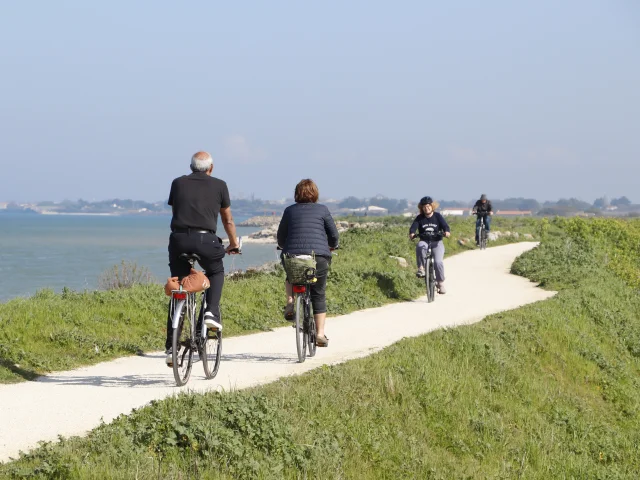 Groupe de cyclistes pédalant sur un chemin côtier de l'île de Ré