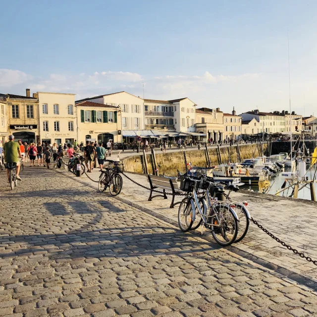 Vélos stationnés au port de Saint-Martin-de-Ré.