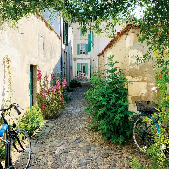 Petite rue fleurie avec des vélos stationnés à Saint-Martin.