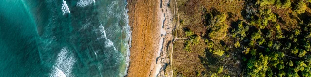 Vue aérienne de la côte entre terre et mer