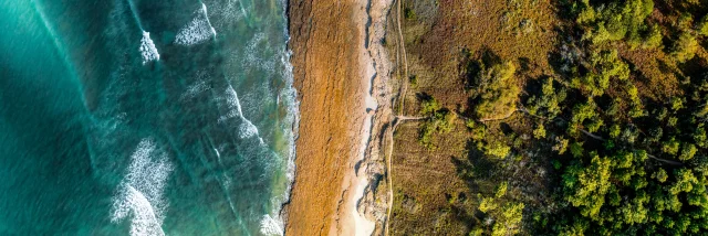 Vue aérienne de la côte entre terre et mer