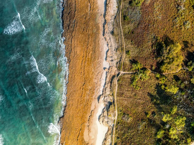 Vue aérienne de la côte entre terre et mer