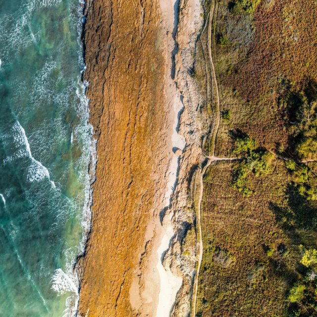 Vue aérienne de la côte entre terre et mer