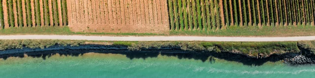 Vue aérienne d'une piste cyclable entre la mer et les vignes sur l'île de Ré