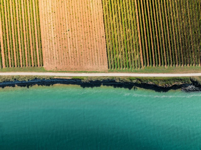 Vue aérienne d'une piste cyclable entre la mer et les vignes sur l'île de Ré