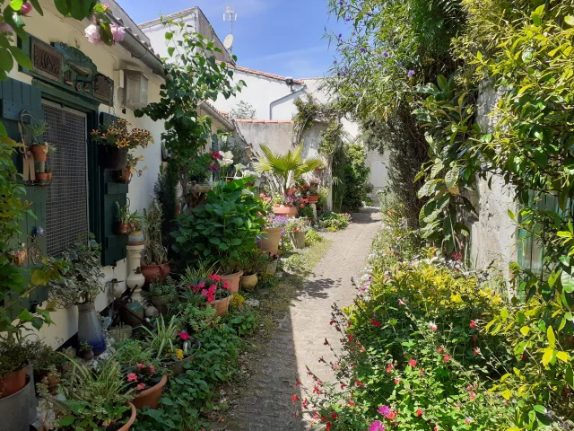 Ruelle richement fleurie de La Flotte avec un chemin de pierre autours d'innombrables fleurs et pots devant une habitation tout aussi fleurie