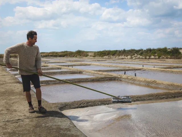 Un saunier en plein travail dans les marais salants, près des bassins de sel.