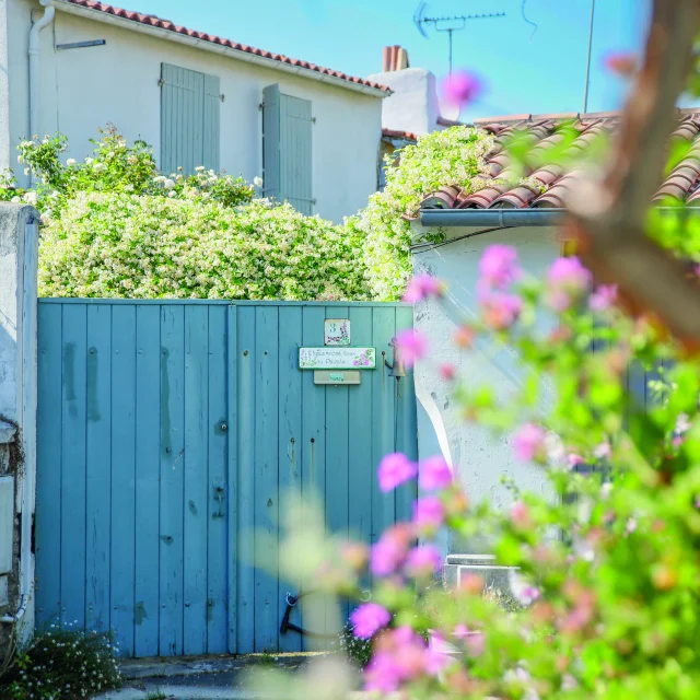 Portail bleu devant une maison avec des fleurs blanches.