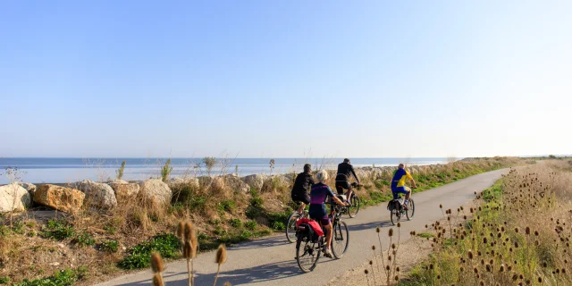 Cyclistes sur une piste cyclable longeant la mer entre La Couarde et Saint-Martin-de-Ré.