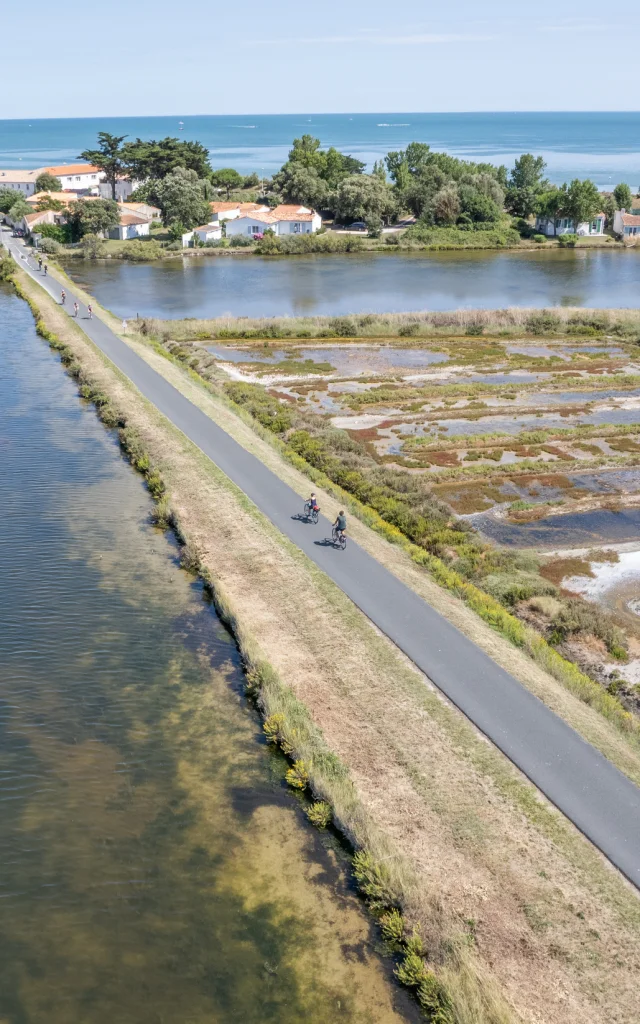 Vue aérienne de la piste cyclable longeant les marais à Ars-en-Ré