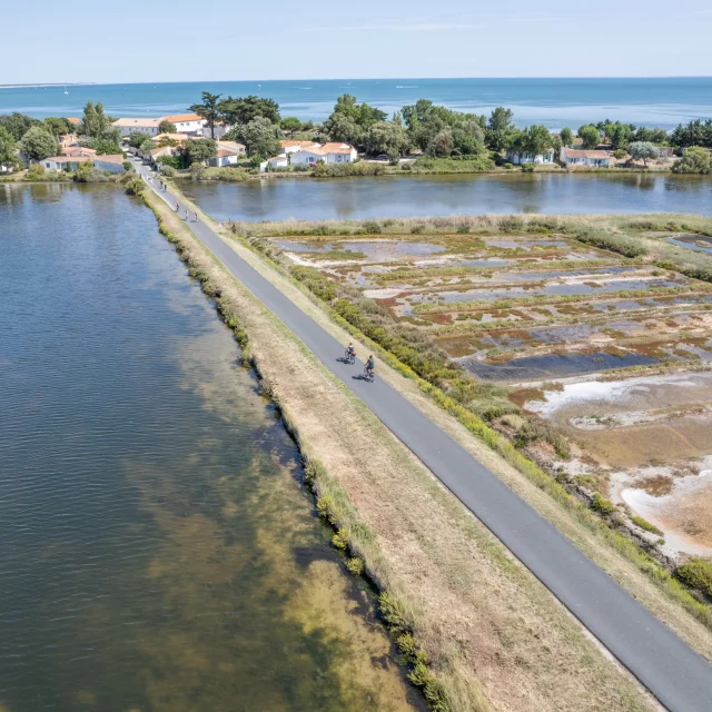 Vue aérienne de la piste cyclable longeant les marais à Ars-en-Ré