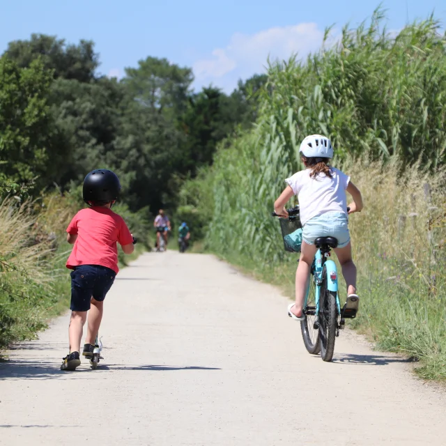 Enfants faisant du vélo et de la trottinette sur un chemin.