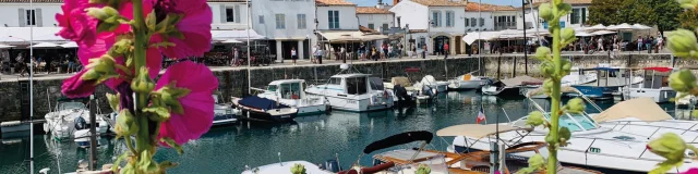 Vue du port de Saint-Martin avec des fleurs roses en premier plan et des bateaux amarrés.