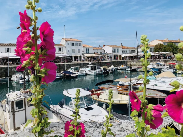 Vue du port de Saint-Martin avec des fleurs roses en premier plan et des bateaux amarrés.