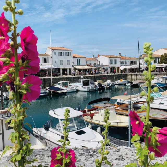 Vue du port de Saint-Martin avec des fleurs roses en premier plan et des bateaux amarrés.